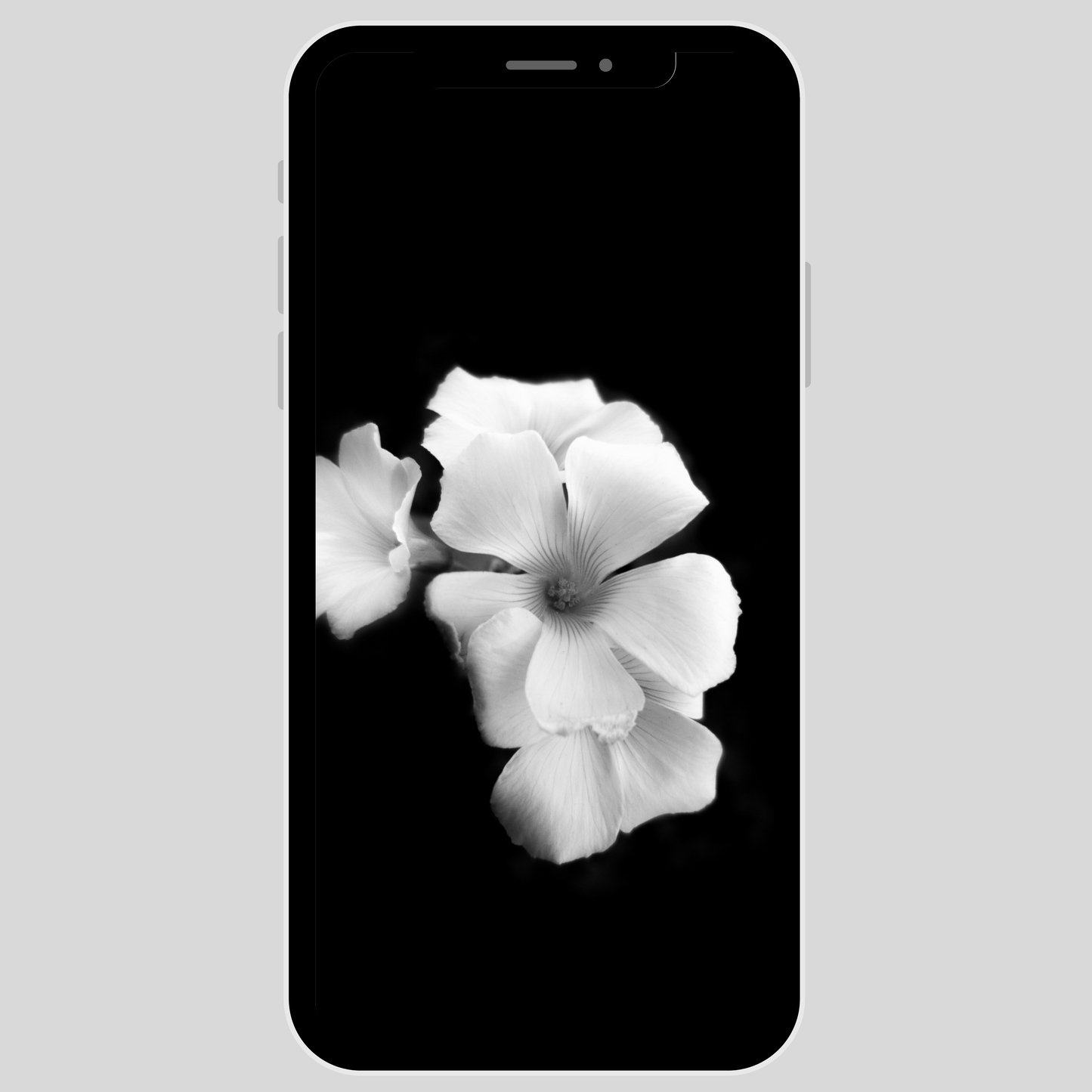 IPhone wallpaper/ Black & Gold Floral/ instant download