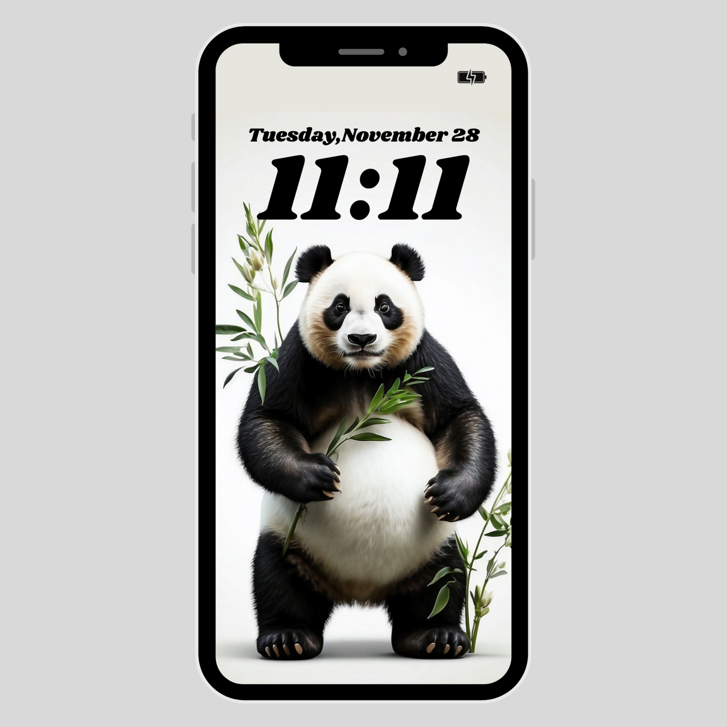 IPhone wallpaper/ Panda & bamboo