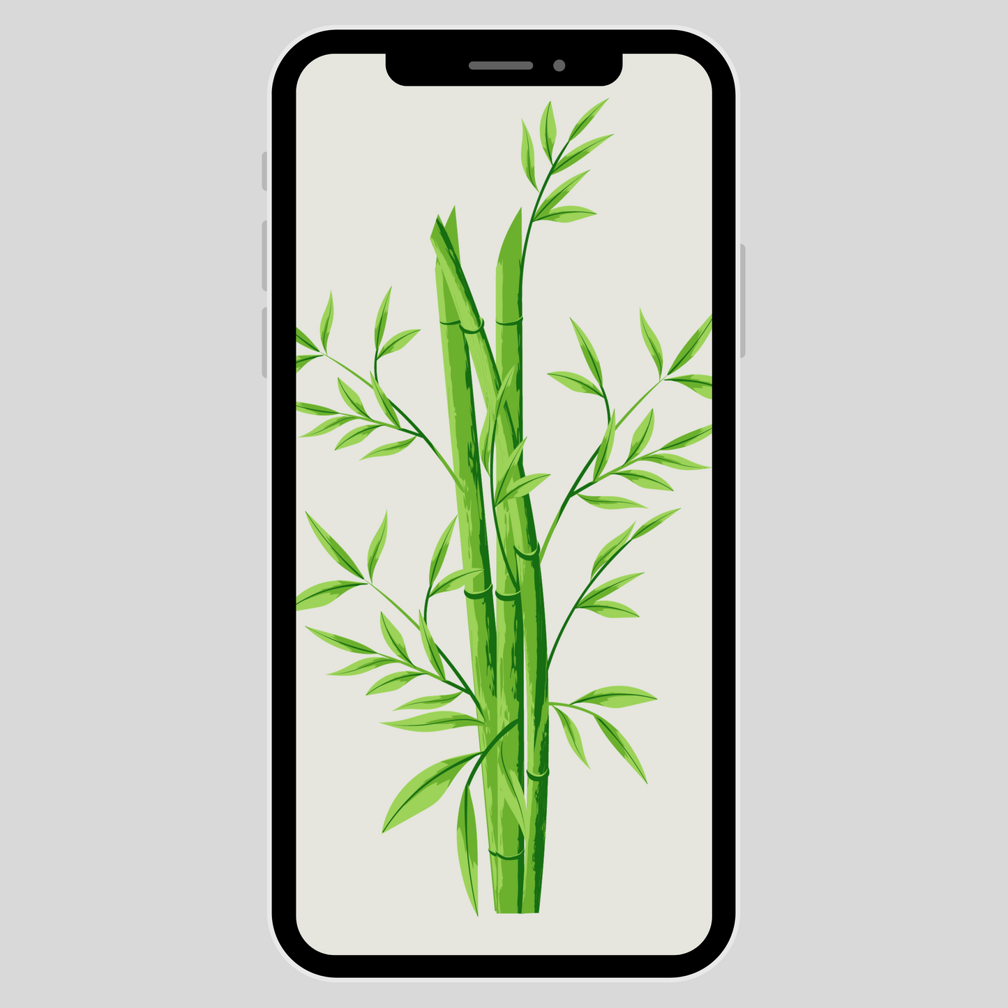 IPhone wallpaper/ Panda & bamboo