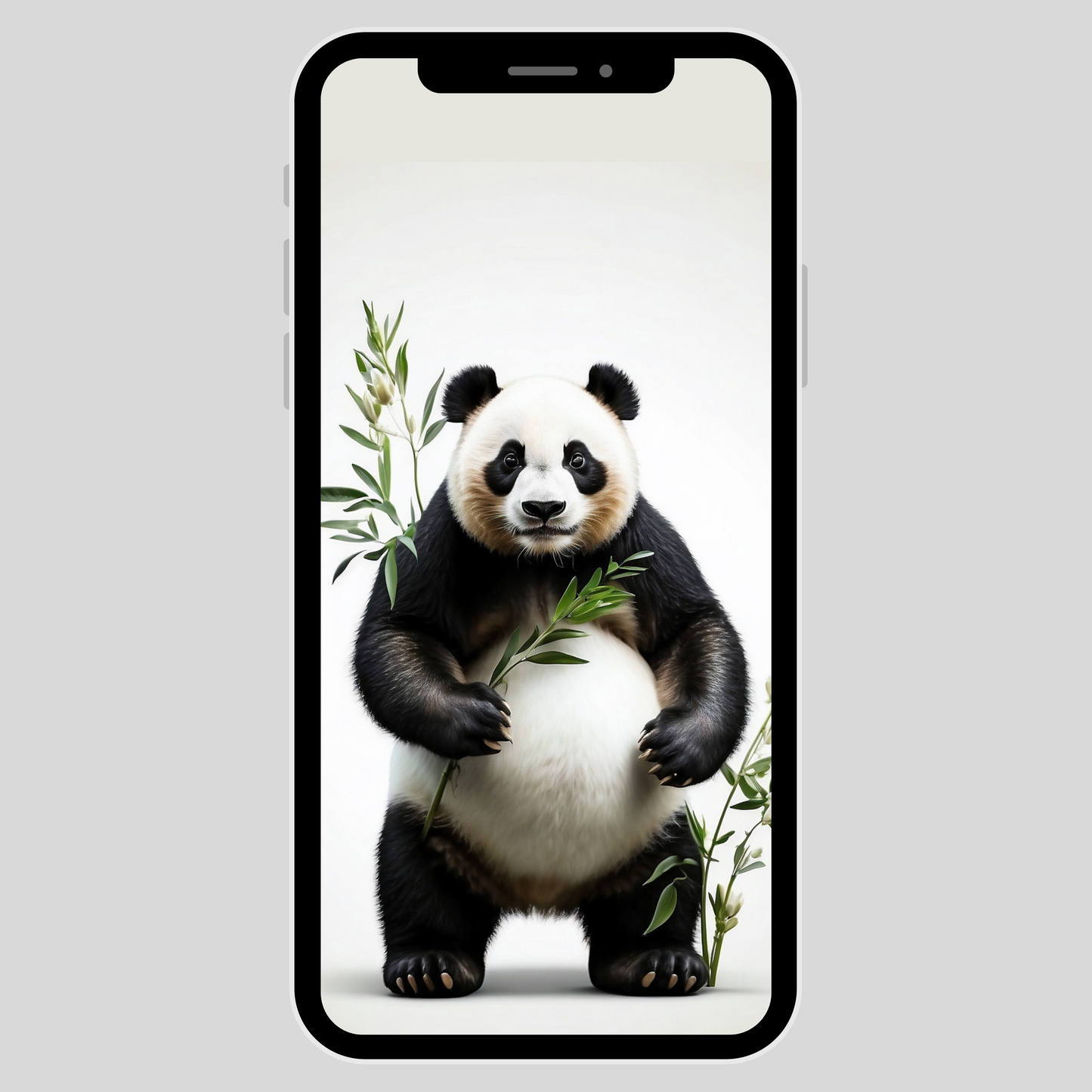 IPhone wallpaper/ Panda & bamboo